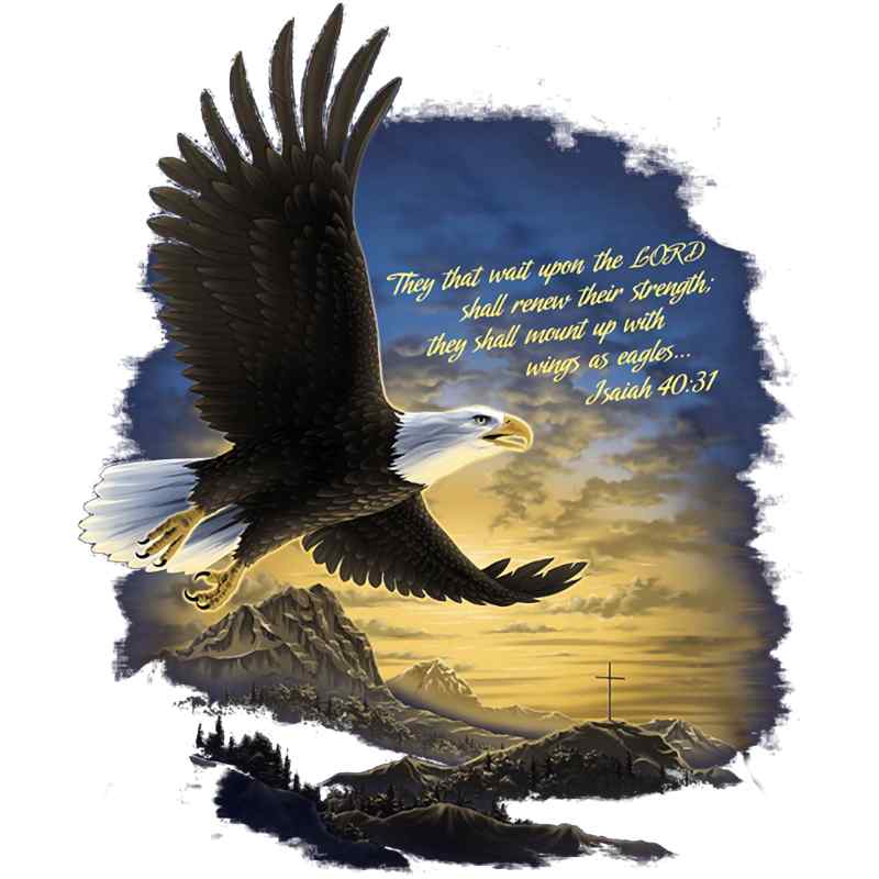 Bald eagle soaring with Isaiah 40:31 biblical scripture, mountain landscape background with sunset and cross