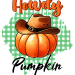 A cartoon orange pumpkin wearing a brown cowboy hat sits on a green gingham background. Text reads "Howdy Pumpkin" in playful orange and black lettering.